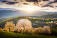 /album/brdarka-ked-vsetko-kvitne-2026/55a0065-copy-jpg1/